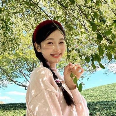 狗仔杜宾